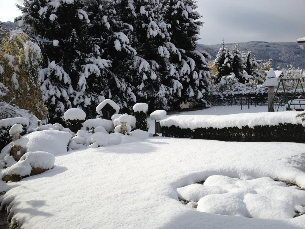 Hotel Latemar Castello-Molina di Fiemme Dış mekan fotoğraf